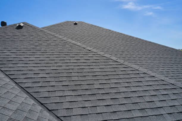 Best Rubber Roofing (EPDM, TPO)  in Palatka, FL